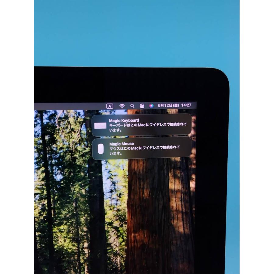 iMac（Retina 4K,21.5インチ,2019）HDD1.03TB/8GB〈MRT32J/A〉 : 中古