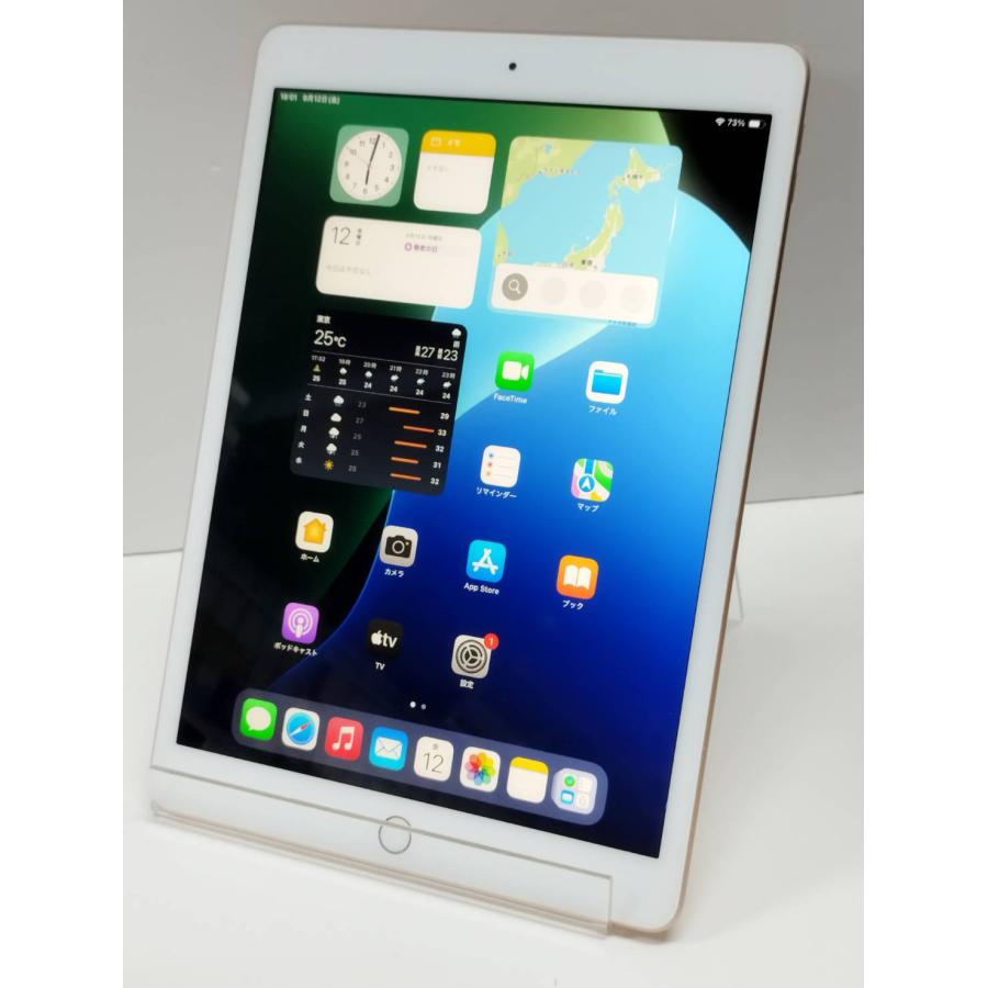 良品】iPad 第7世代/Wi-Fiモデル/A2197/32GB〈MW762J/A〉 : 中古