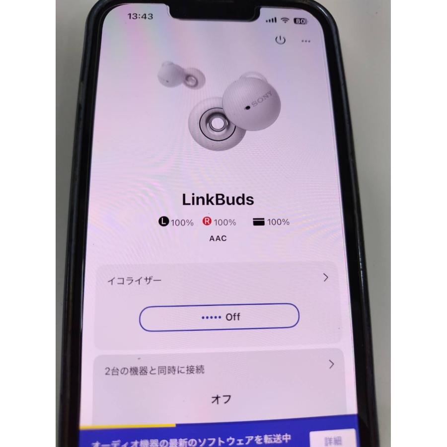 SONY LinkBuds WF-L900 ワイヤレスイヤホン YY2953_3