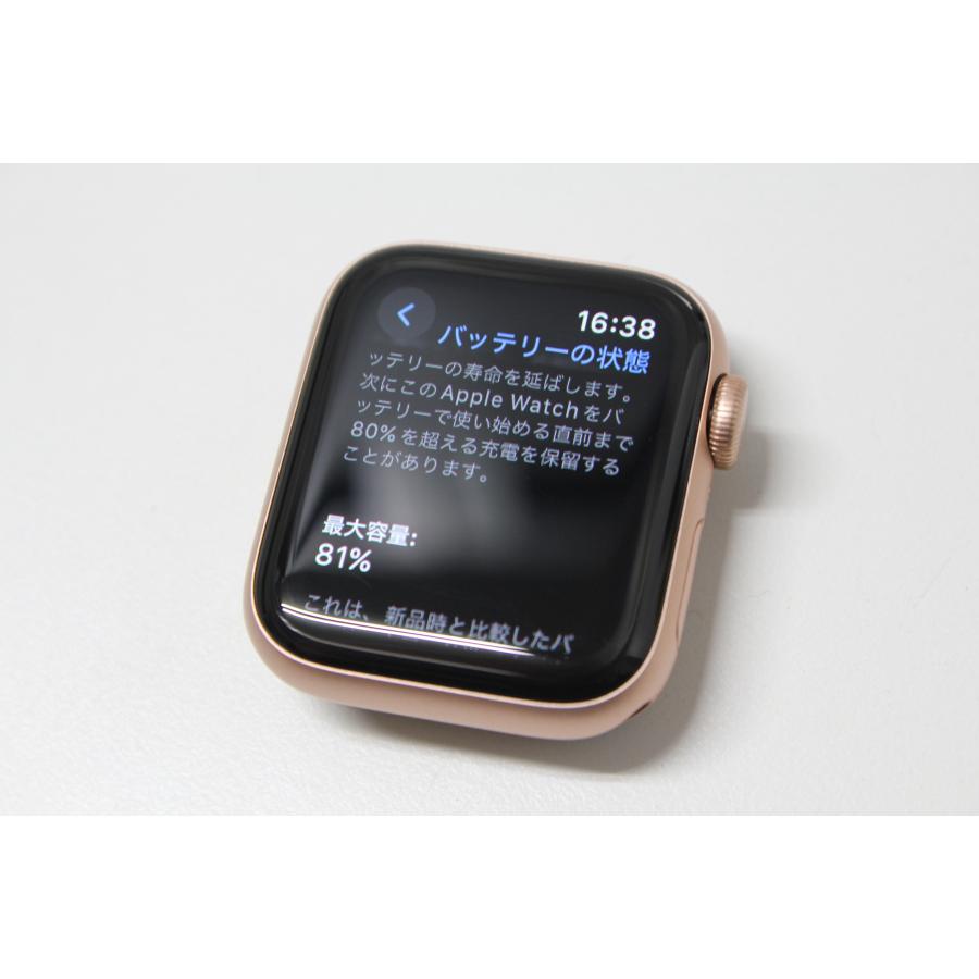 Apple Watch SE（第1世代）GPS/40mm/A2351〈MKQ03J/A〉(5) : 中古 