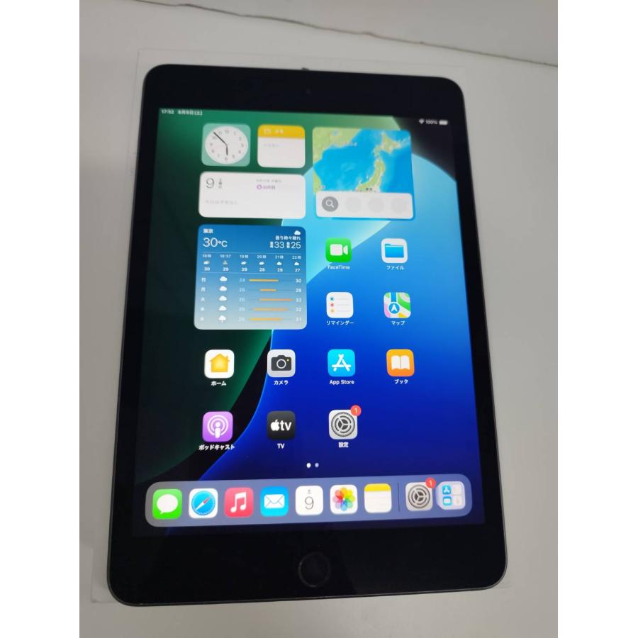 Wi-Fiモデル】iPad mini 第5世代/256GB/A2133〈MUU32J/A〉 : 中古