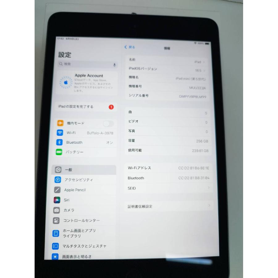 Wi-Fiモデル】iPad mini 第5世代/256GB/A2133〈MUU32J/A〉 : 中古