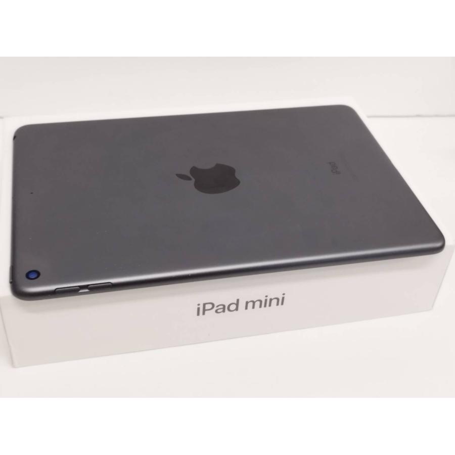 Wi-Fiモデル】iPad mini 第5世代/256GB/A2133〈MUU32J/A〉 : 中古