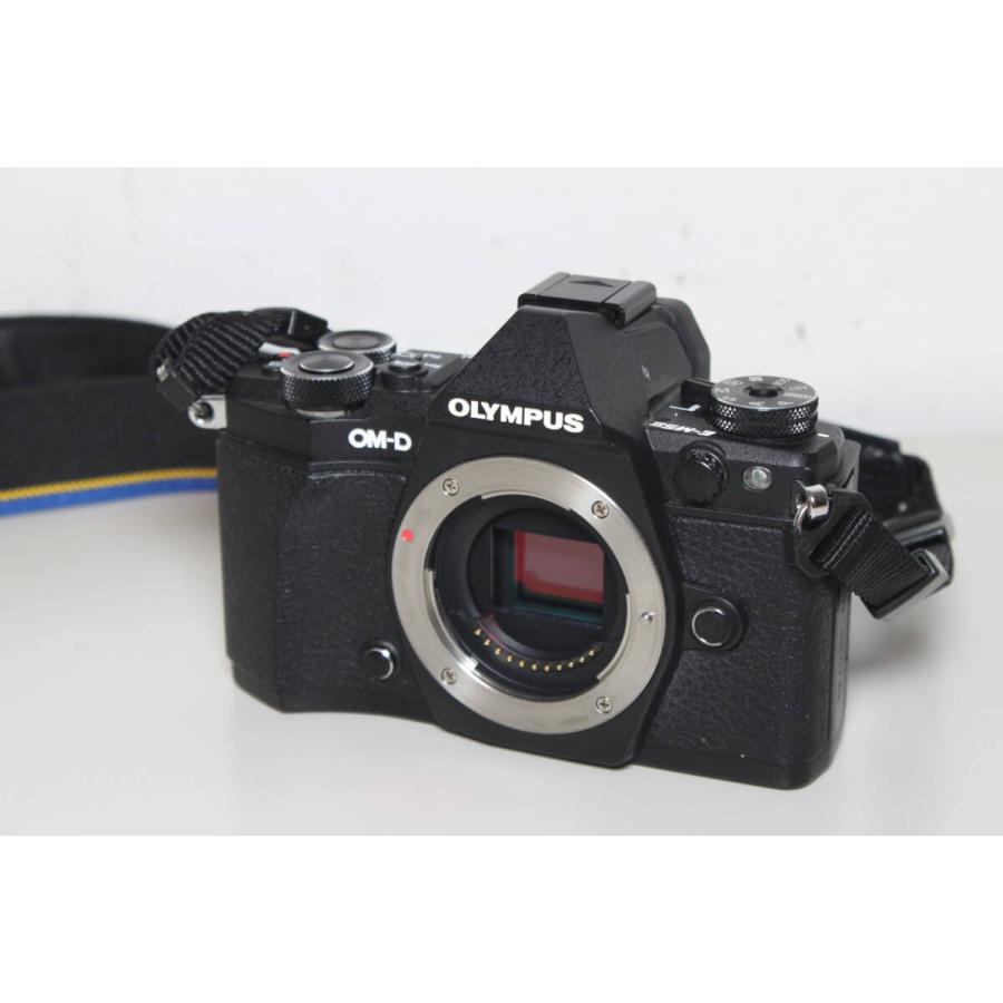 OLYMPUS EM5-II ミラーレスカメラ一式 OM-D E-M5 Mark II ミラーレス一眼カメラ 14-150mm II レンズキット