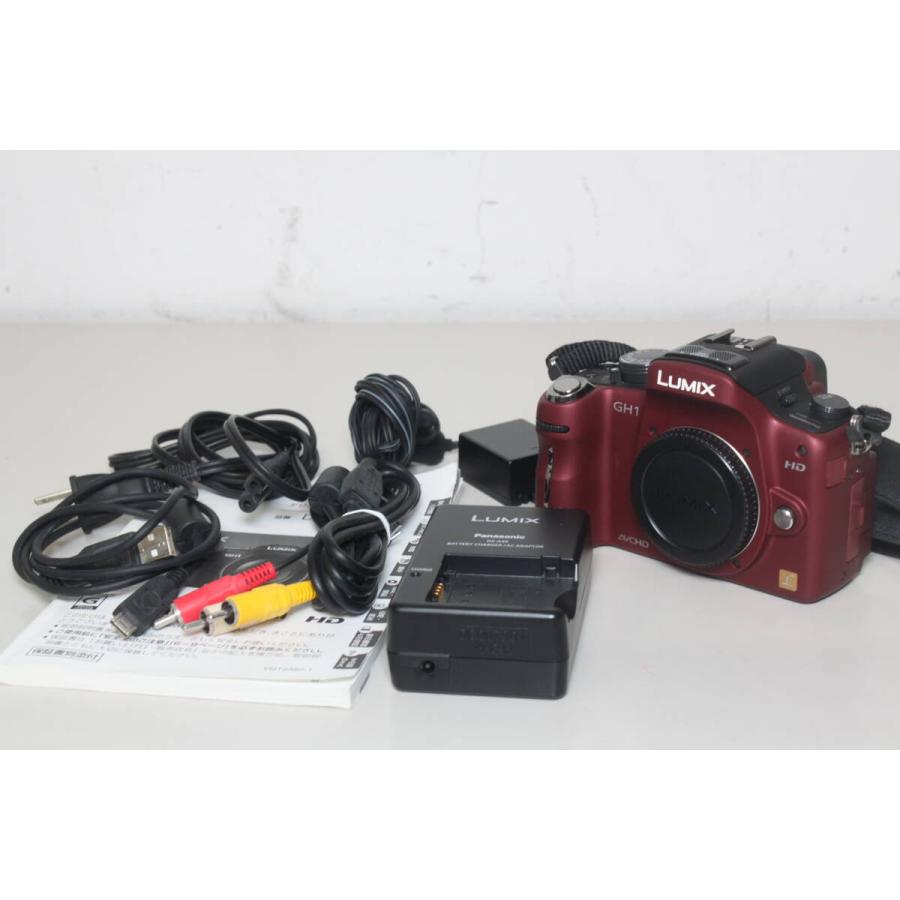 Panasonic/LUMIX DMC-GH1/ボディ/ミラーレス一眼 ④