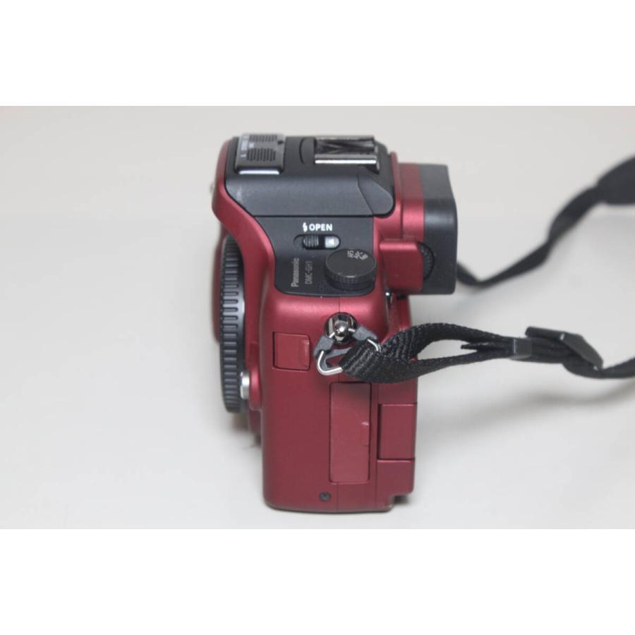 Panasonic/LUMIX DMC-GH1/ボディ/ミラーレス一眼 (4) : 中古パソコン