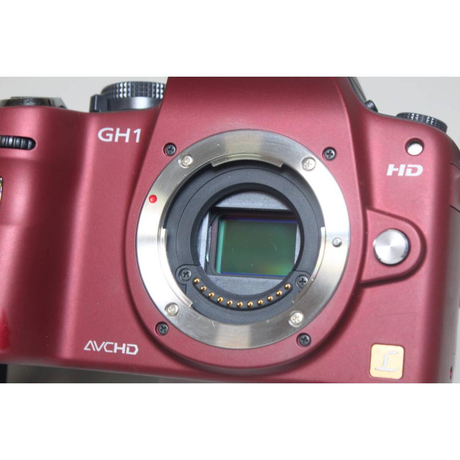 LUMIX GH1 ミラーレス一眼 概要 デジタル一眼カメラ/ボディ DMC-GH1 | LUMIX（ルミックス