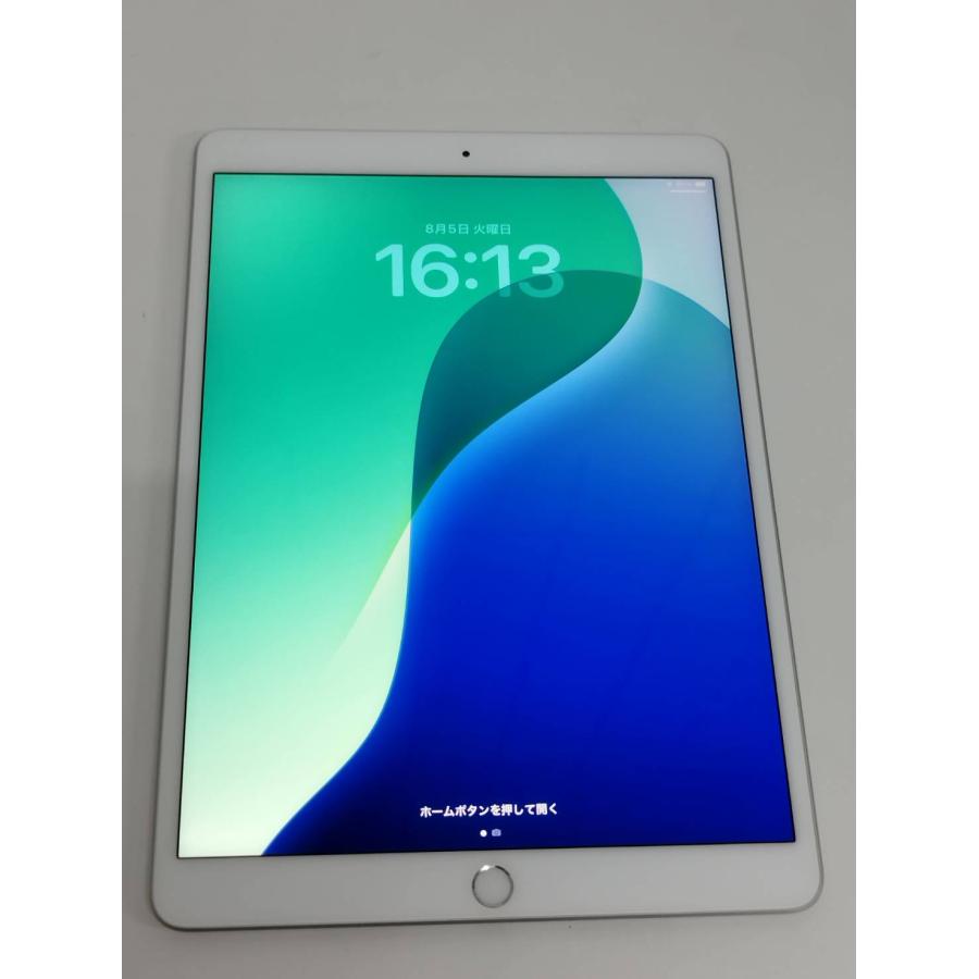 Wi-Fiモデル】iPad Air 第3世代/256GB/A2152〈MUUR2J/A〉
