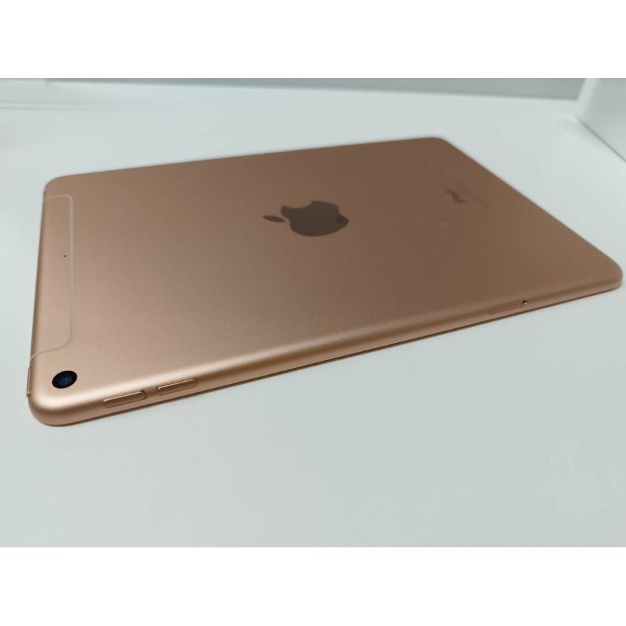 Wi-Fi+Cellular】iPad mini 第5世代/A2124/64GB〈MUX72JA〉 : 中古