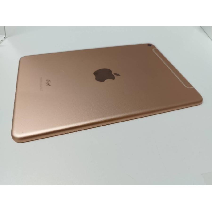ipad mini 第5世代 Wi-Fi+cellularモデル A2124 iPad mini 5 Wi-Fi +