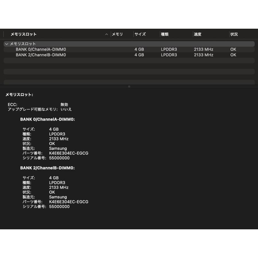 MacBook Pro（13インチ,2019,Thunderbolt 3ポートx 2）128GB/8GB〈MUHN2J/A〉(6)の画像