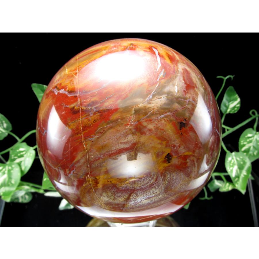 店頭展示中 迫力の大玉 珪化木 ペトリファイドウッド 丸玉 台座付 重さ4040g 直径144mm 木の化石 自然を愛する全ての方に マダガスカル産 パワーストーン | ブランド登録なし