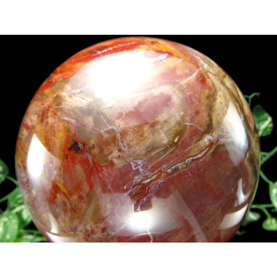 店頭展示中 迫力の大玉 珪化木 ペトリファイドウッド 丸玉 台座付 重さ4040g 直径144mm 木の化石 自然を愛する全ての方に マダガスカル産 パワーストーン | ブランド登録なし | 02