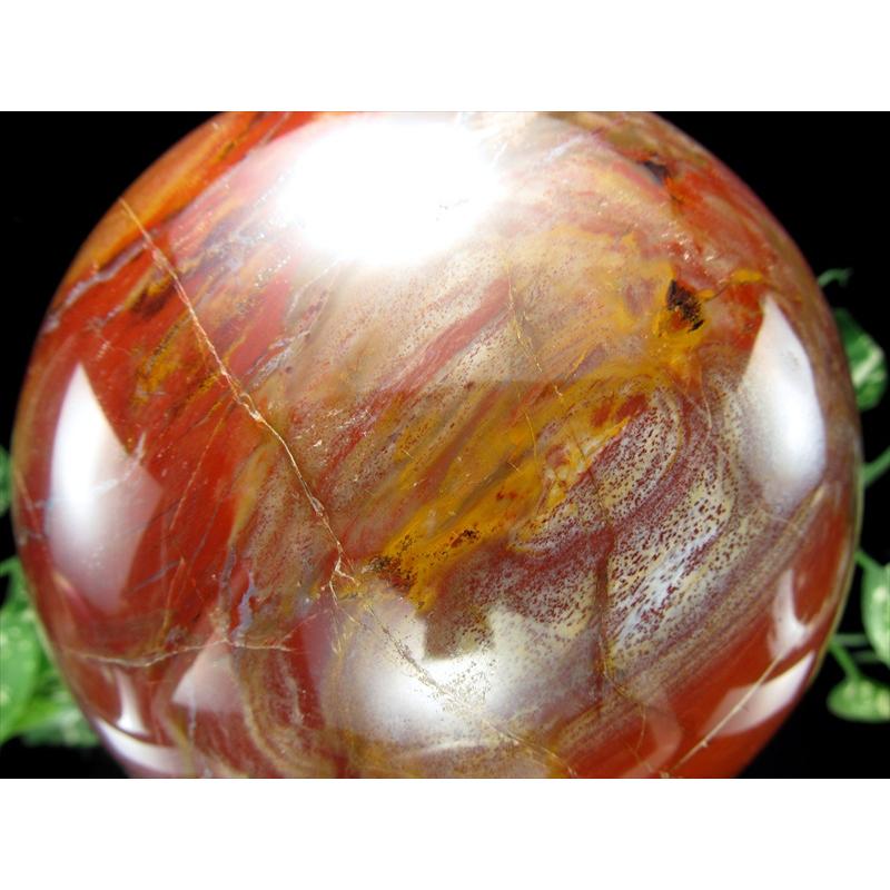 店頭展示中 迫力の大玉 珪化木 ペトリファイドウッド 丸玉 台座付 重さ4040g 直径144mm 木の化石 自然を愛する全ての方に マダガスカル産 パワーストーン | ブランド登録なし | 04