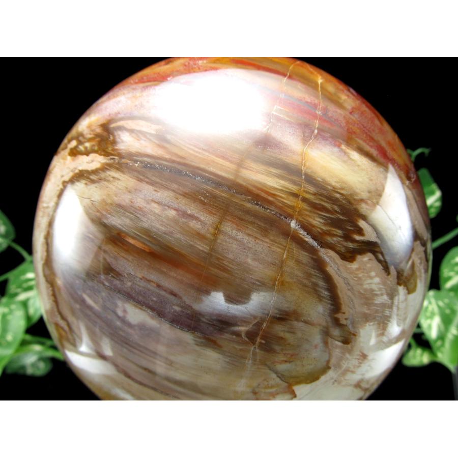 店頭展示中 迫力の大玉 珪化木 ペトリファイドウッド 丸玉 台座付 重さ4040g 直径144mm 木の化石 自然を愛する全ての方に マダガスカル産 パワーストーン | ブランド登録なし | 06