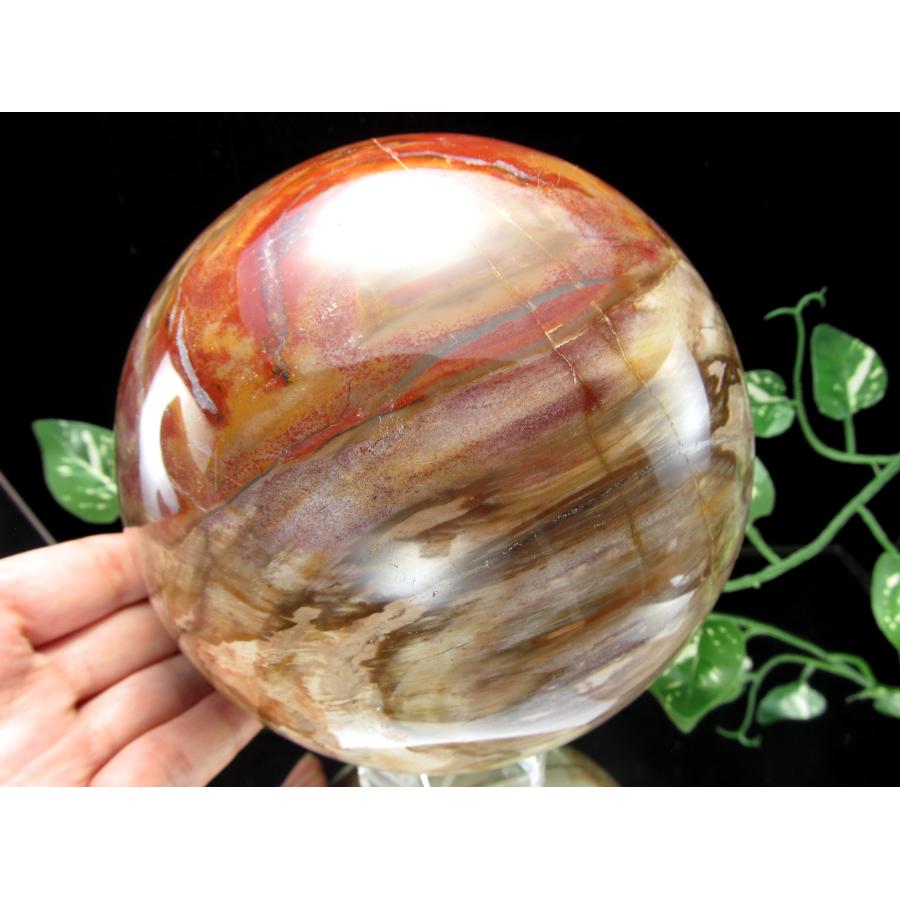 店頭展示中 迫力の大玉 珪化木 ペトリファイドウッド 丸玉 台座付 重さ4040g 直径144mm 木の化石 自然を愛する全ての方に マダガスカル産 パワーストーン | ブランド登録なし | 07