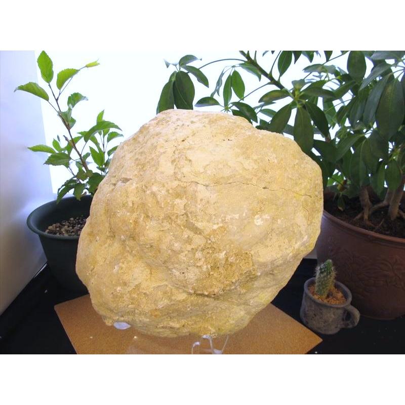 超特大 モロッコ産ジオード 晶洞 水晶 原石 約7kg-10kg 希少鉱物共生タイプも 完全浄化に 極上キラキラ水晶 モロッコ産 cl-p パワーストーン 天然石 | ブランド登録なし | 02