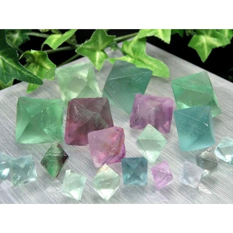 わくわくのサイズMIX 4A つやつや フローライト 8面体結晶 MIXカラー