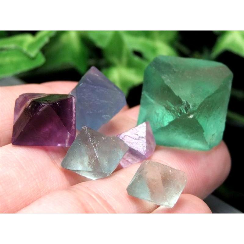わくわくのサイズMIX 4A つやつや フローライト 8面体結晶 MIXカラー