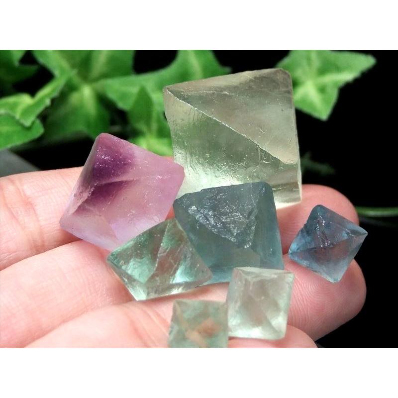 わくわくのサイズMIX 4A つやつや フローライト 8面体結晶 MIXカラー