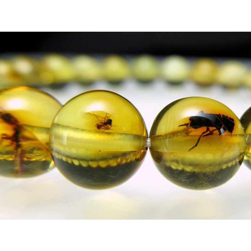 ハッキリ虫入り 虫入りアンバー(天然琥珀)タンブルブレスレット 約8mm 