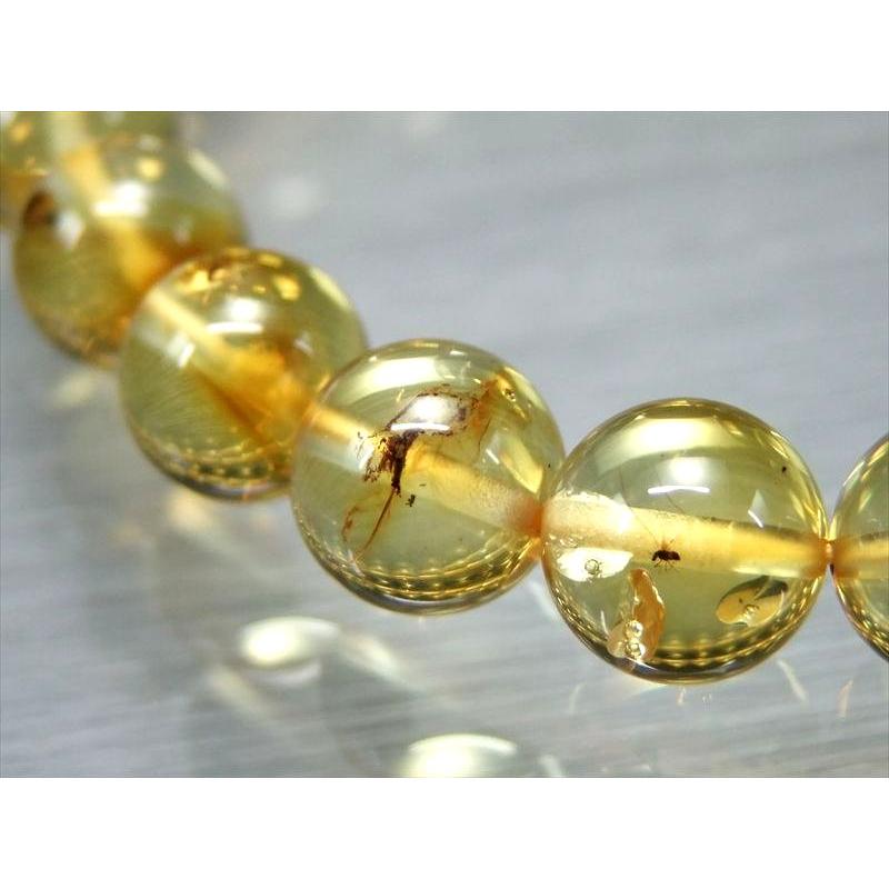 ハッキリ虫入り 5A 虫入りアンバー 天然虫入り琥珀 ブレスレット