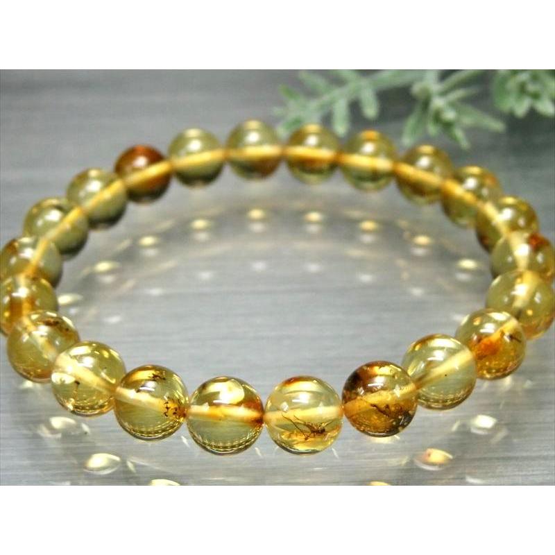 ハッキリ虫入り 5A 虫入りアンバー 天然虫入り琥珀 ブレスレット 8.5mm