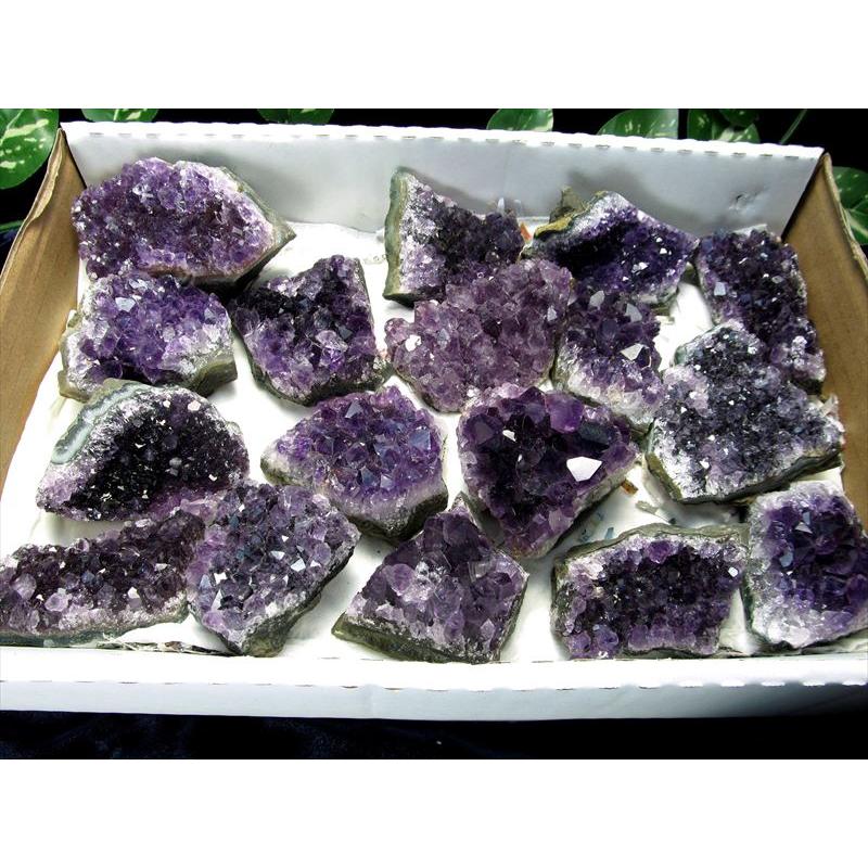 【ウルグアイ産】濃厚アメジスト　ミニクラスター　8こセット　D 楽天市場】【ミニクラスター】ハート型 ウルグアイ産アメジスト