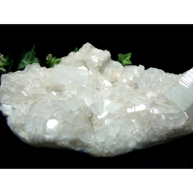 特大サイズ 極上品質入荷 アポフィライト 魚眼石 クラスター原石 最