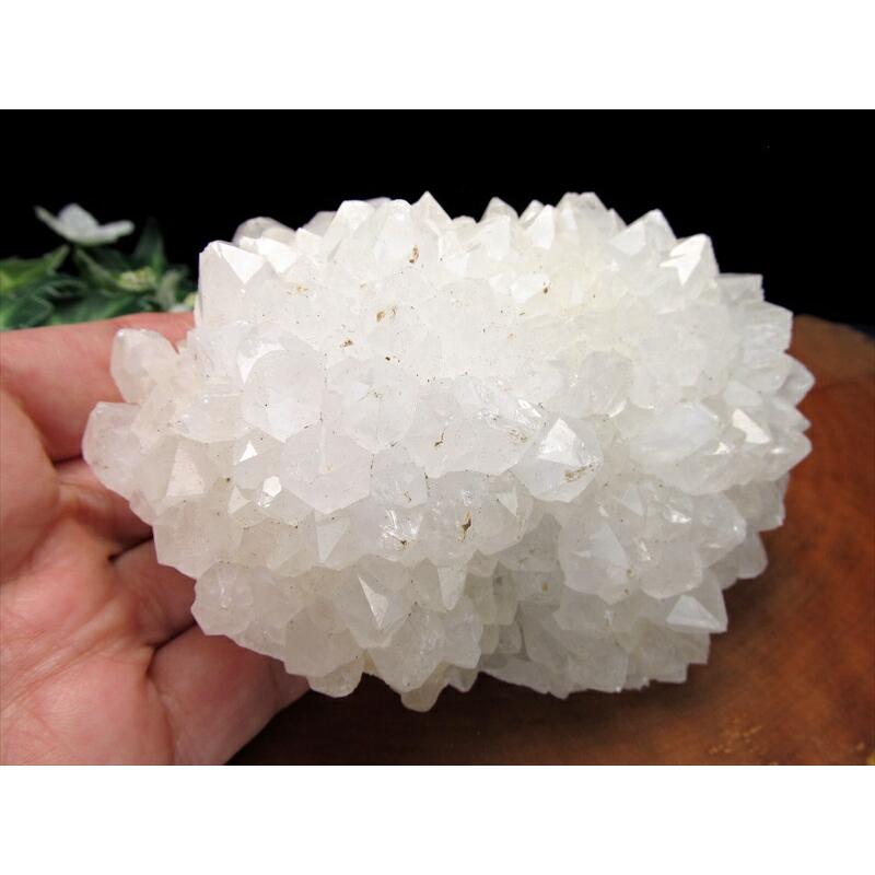 8/21以降発送　四川フラワー水晶　① cluster571.jpg