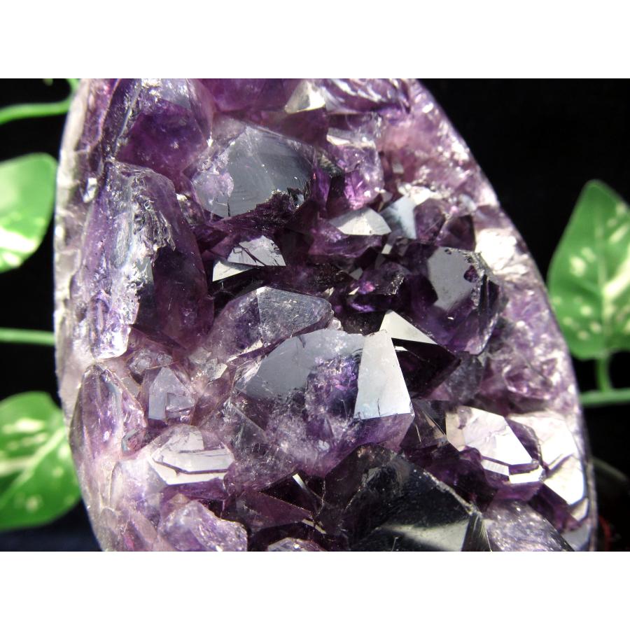 【愛の守護石、癒しと安らぎ】迫力のビックサイズ！天然石フラワーアメジスト 原石 愛の守護石、癒しと安らぎ】迫力のビックサイズ！天然石フラワー