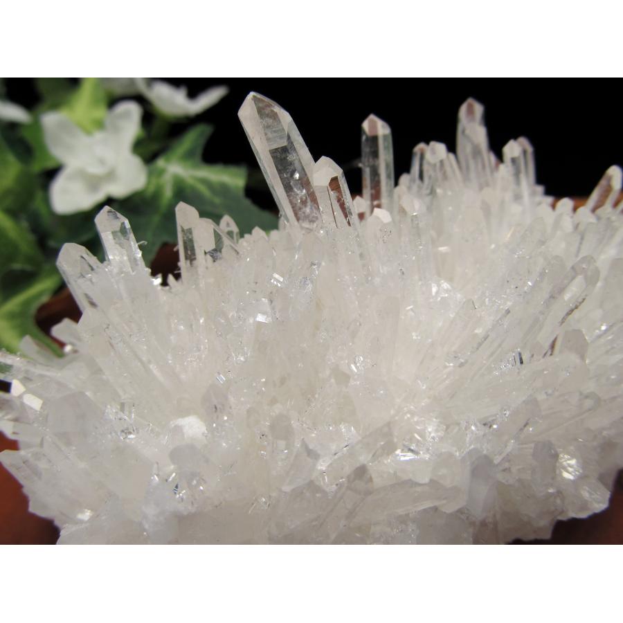 8/21以降発送四川フラワー水晶②クラスター