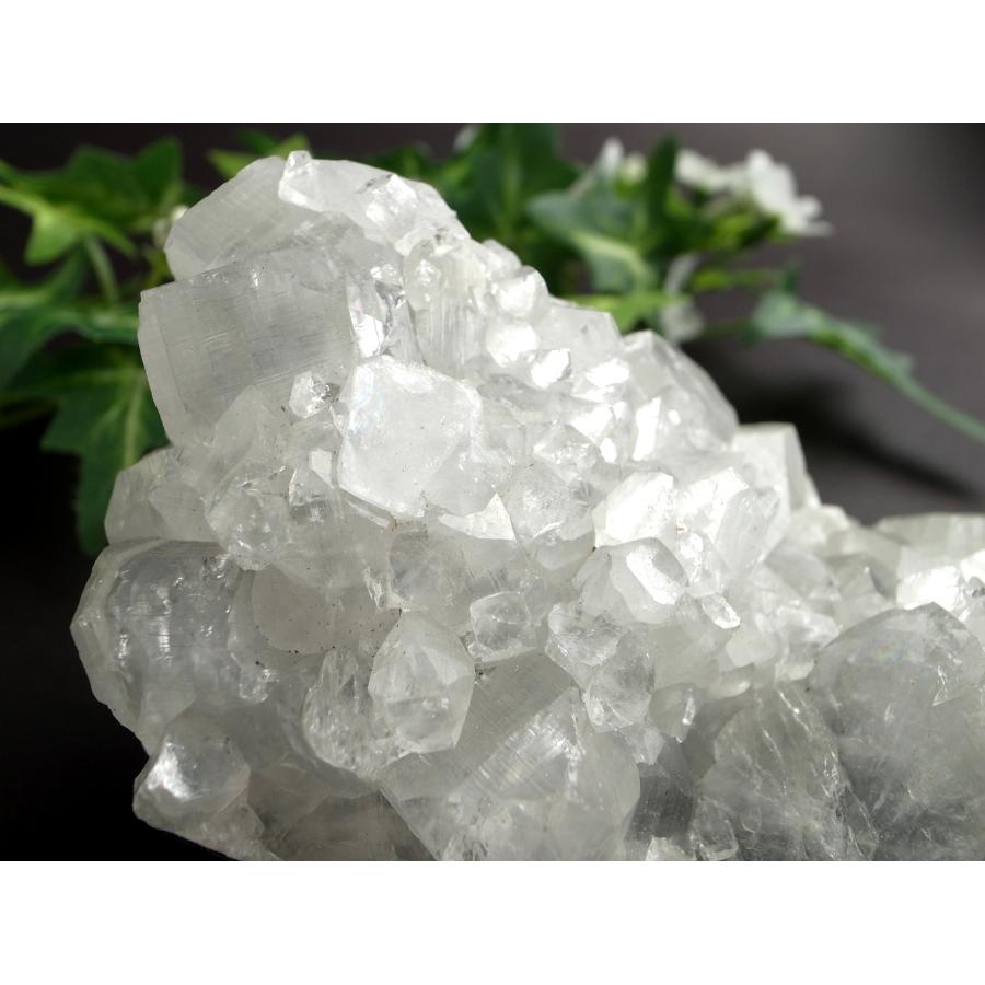 アポフィライト(魚眼石)クラスター imgrc0094604923.jpg