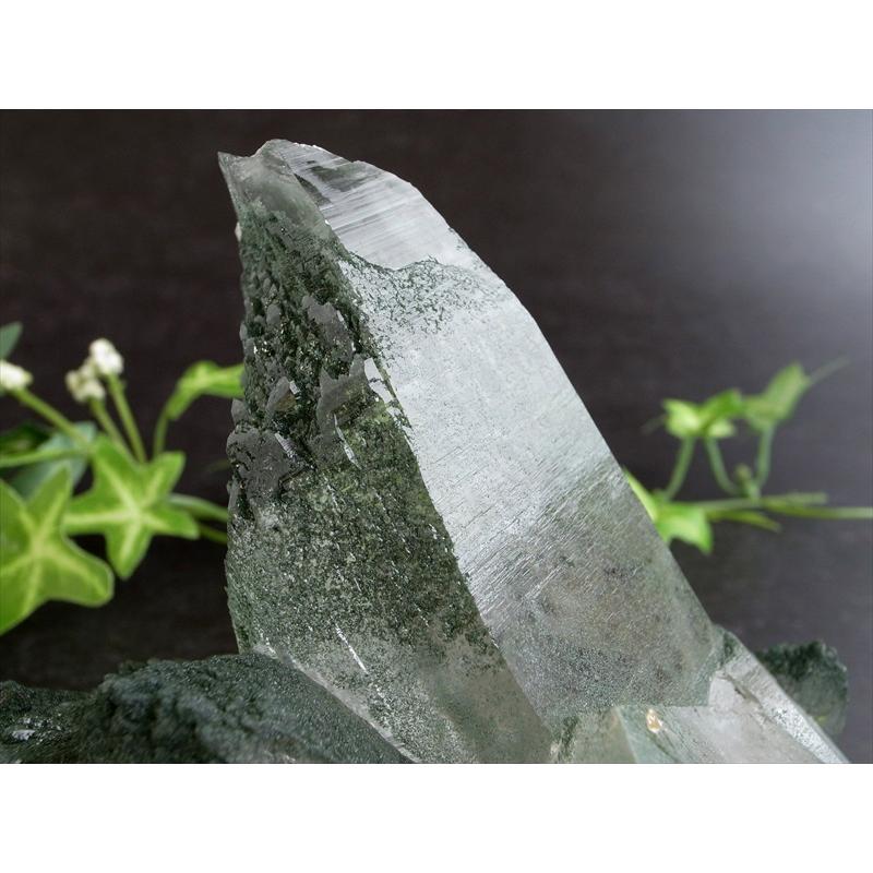 ギャランティーカード付 ガネーシュヒマール産 水晶 クラスター 最大幅約155mm 重量約837g 神に最も近い場所で採掘される特別な水晶の画像