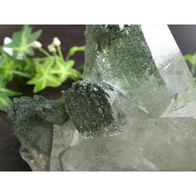 ギャランティーカード付 ガネーシュヒマール産 水晶 クラスター 最大幅約155mm 重量約837g 神に最も近い場所で採掘される特別な水晶の画像