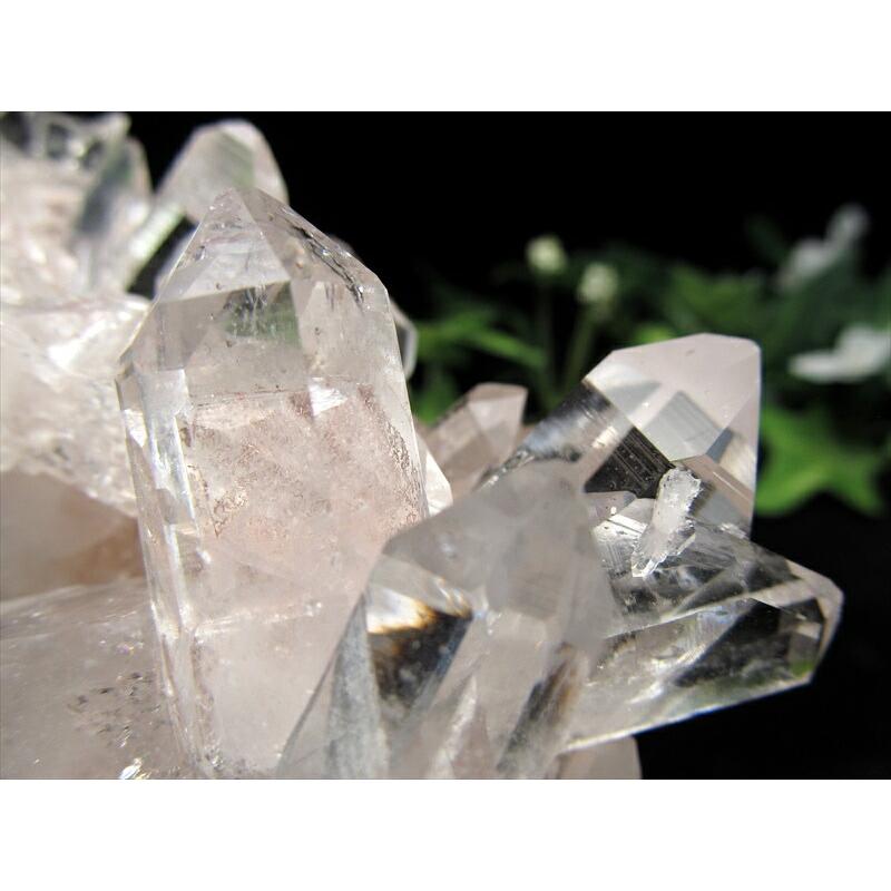 799g 透明感拔群　キラキラ　レムリアン の様に　菊花水晶　クラスター 799g 透明感拔群 キラキラ レムリアン の様に 菊花水晶 クラスター