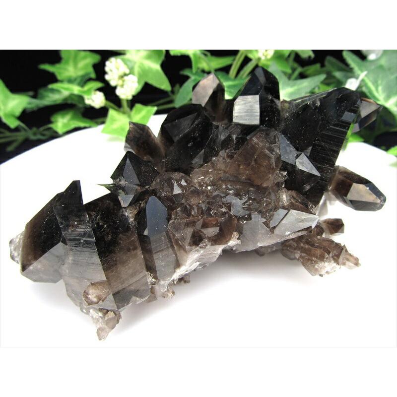 待望の再入荷 アーカンソー州産 モリオン結晶クラスター 最大幅約112mm