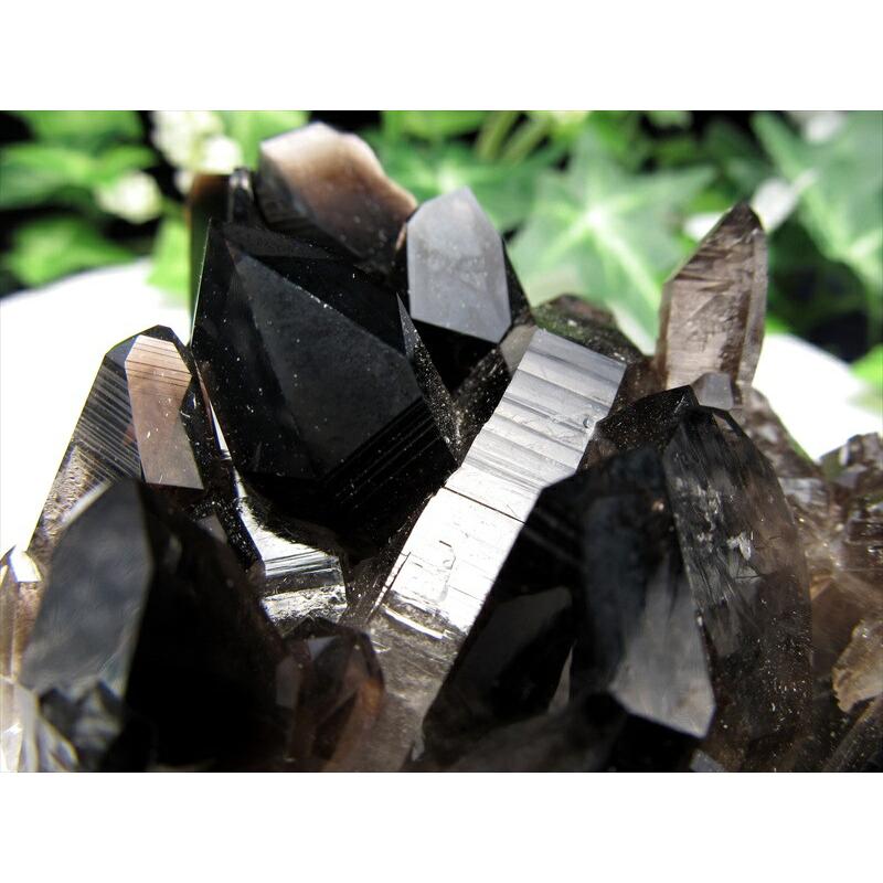 待望の再入荷 アーカンソー州産 モリオン結晶クラスター 最大幅約112mm