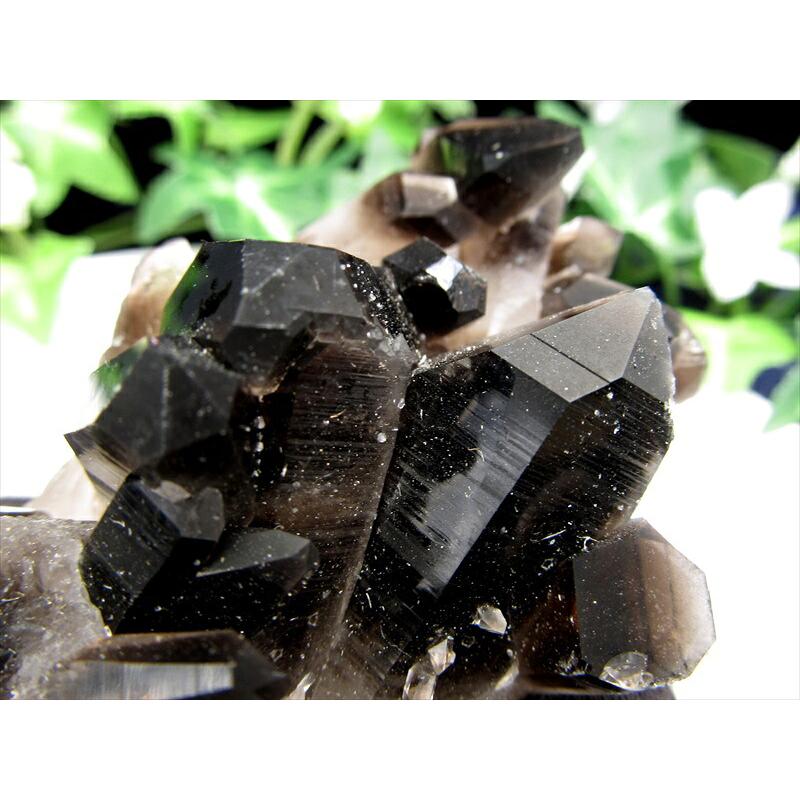 待望の再入荷 アーカンソー州産 モリオン結晶クラスター 最大幅約102mm