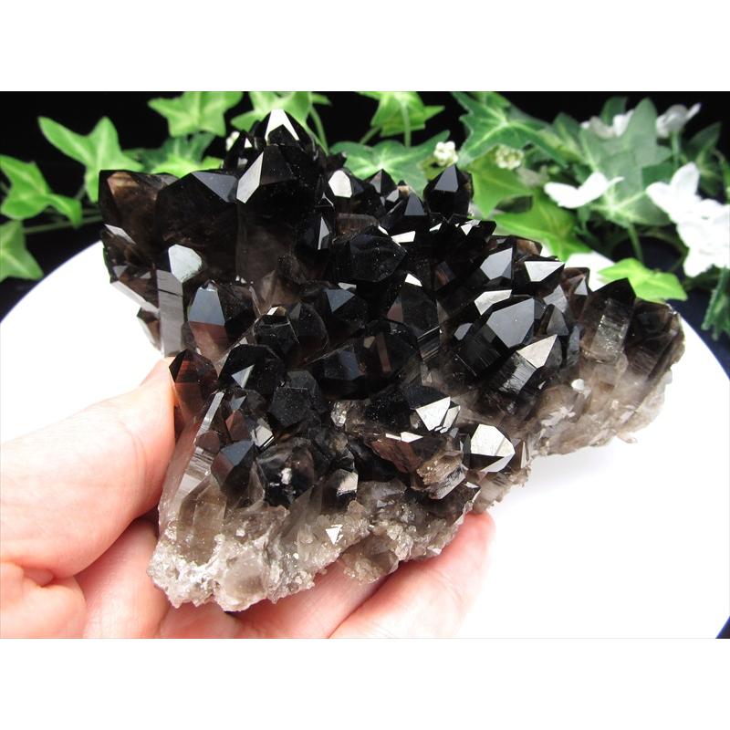 待望の再入荷 アーカンソー州産 モリオン結晶クラスター 最大幅約129mm