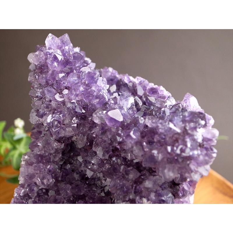 アメジスト原石 結晶群 紫水晶フラワー アメジスト原石 結晶群 紫水晶