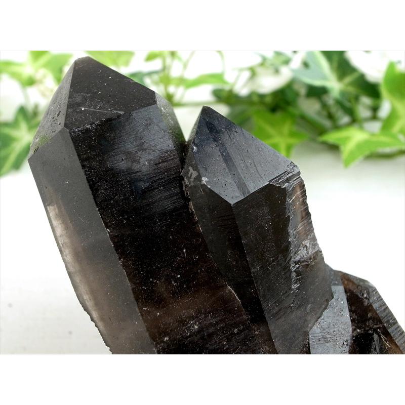 待望の再入荷 アーカンソー 州 産 モリオン 結晶 クラスター 最大幅約54mm 重さ167g 最強の魔除け・邪気払いの石 1点物 艶々極上 黒水晶 アーカンソー 州 産 | ブランド登録なし | 01