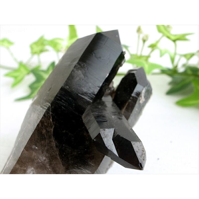 待望の再入荷 アーカンソー 州 産 モリオン 結晶 クラスター 最大幅約83mm 重さ170g 最強の魔除け・邪気払いの石 1点物 艶々極上 黒水晶 アーカンソー 州 産 | ブランド登録なし | 03