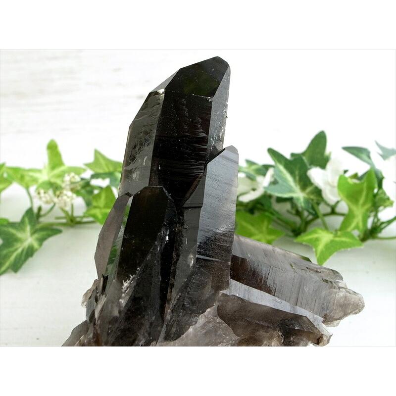 待望の再入荷 アーカンソー 州 産 モリオン 結晶 クラスター 最大幅約97mm 重さ299g 最強の魔除け・邪気払いの石 1点物 艶々極上 黒水晶 アーカンソー 州 産 | ブランド登録なし | 02