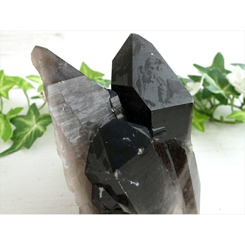 待望の再入荷 アーカンソー 州 産 モリオン 結晶 クラスター 最大幅約90mm 重さ300g 最強の魔除け 邪気払いの石 1点物 艶々極上 黒水晶 アーカンソー 州 産 | ブランド登録なし