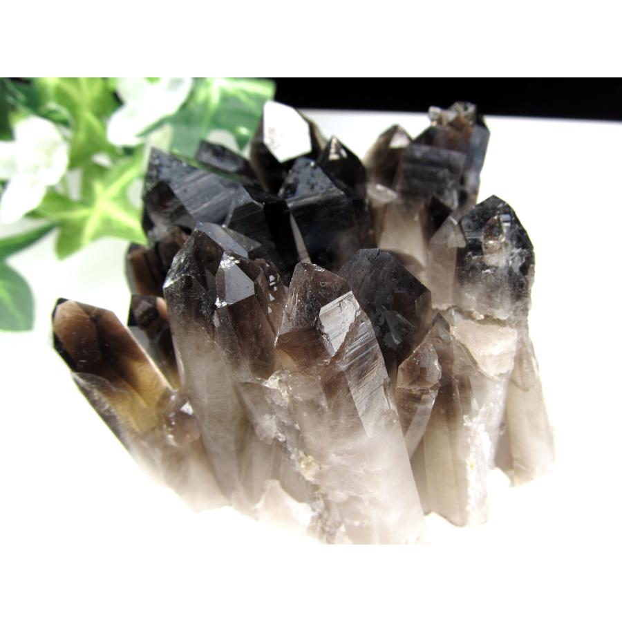 希少石 レア 極上 最高級黒水晶クラスター 【公式通販】