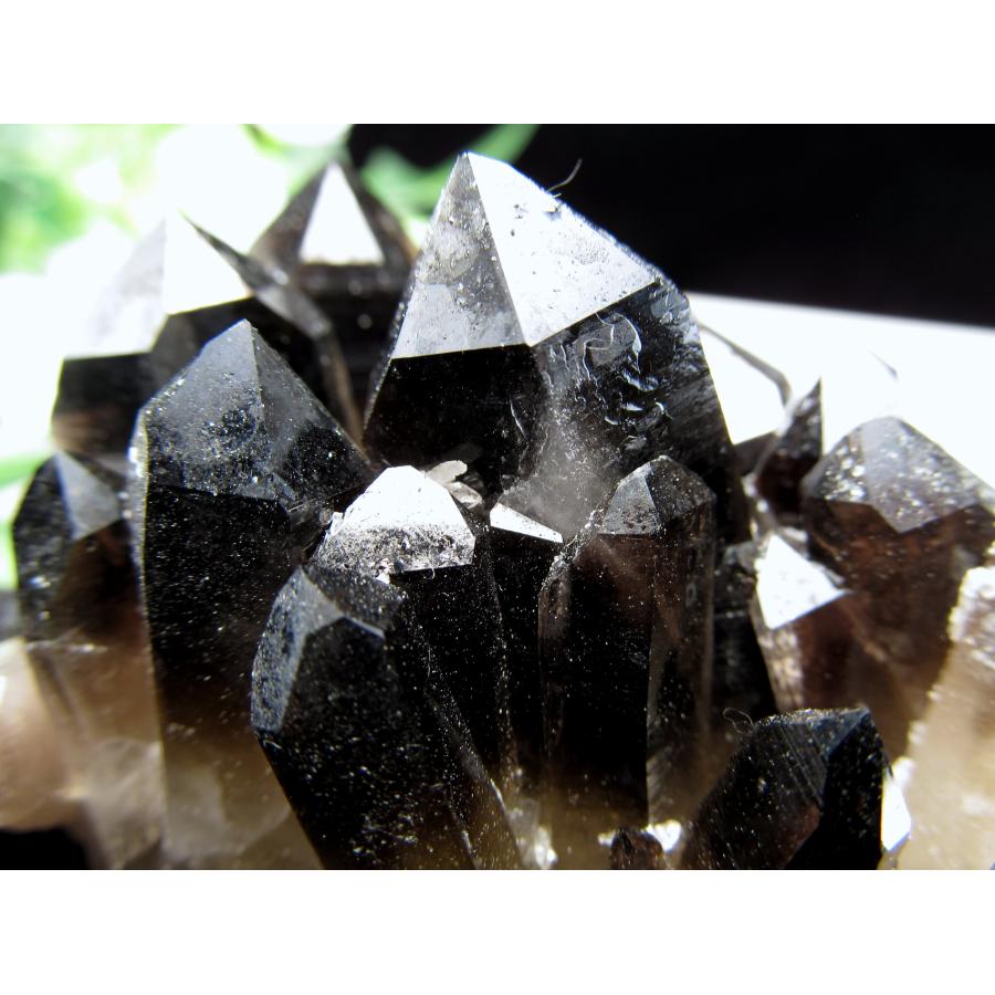 圧倒的支持 天然 黒水晶 (モリオン) クラスター原石 重さ254g 最強の魔 