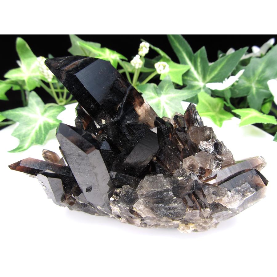 セルフヒールド有り アメリカ・アーカンソー州産 黒水晶(モリオン)クラスター 幅150mm 重さ723g 漆黒の美結晶群 最強の魔除け・邪気払いの石  :cl-65710-p-g:ComRoseパワーストーン・天然石専門店 - 通販 - Yahoo!ショッピング