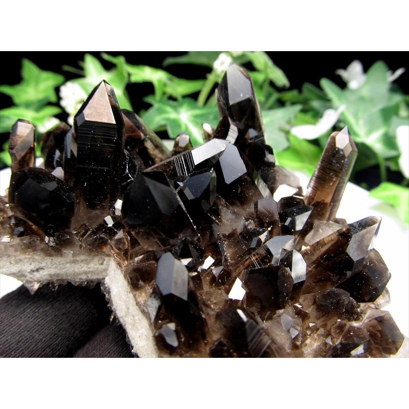 待望の再入荷 アメリカ・アーカンソー州産 黒水晶 モリオン クラスター