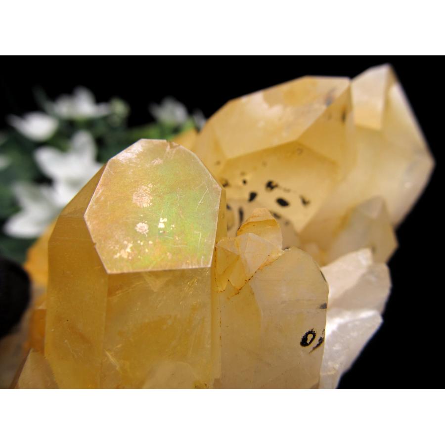 ヒーリングストーンの象徴 ゴールデンヒーラー クラスター 最大幅100mm